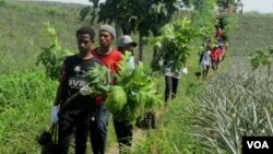 Sejumlah anak muda membawa tanaman Sukun untuk ditanam di lereng Gunung Kelud, Kediri. (Foto: VOA/Petrus Riski)