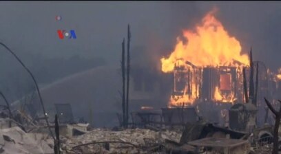 Puluhan Tewas dalam Kebakaran Hutan di California