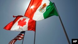 February 1, 2025 - 0200 UTC