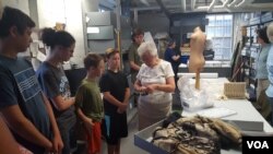 A group of local residents visit the textile unit at the Historical Society of Harford County in Maryland. (F.El Masry/VOA)