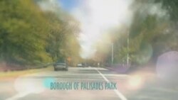 بي بي شیرینه – وي او اې ډيوه په ټیلې ویژن