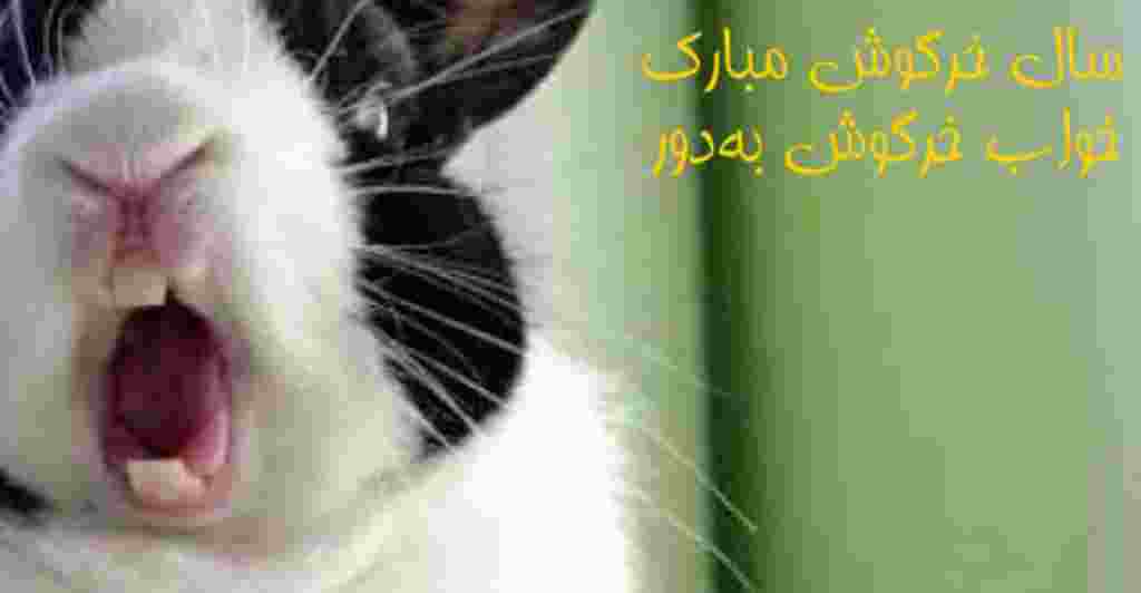جمعه اول آوریل - هفته ای که گذشت به روایت تصویر