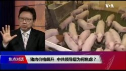 焦点对话：猪肉价格飙升，中共领导层为何焦虑？