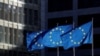欧盟要求评估世卫组织应对新冠表现