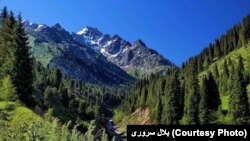 نورستان مناظر فراوان دست نخورده و زیبا دارد