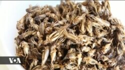 Senene ni moja ya vyakula bora.