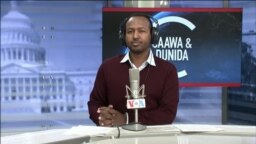 Caawa iyo Dunida