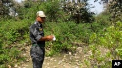Офицер индийской полиции осматривает место преступления в лесу рядом с храмовыми комплексами в Орчхе. Мадхья Прадеш, Индия 16 марта 2013 года