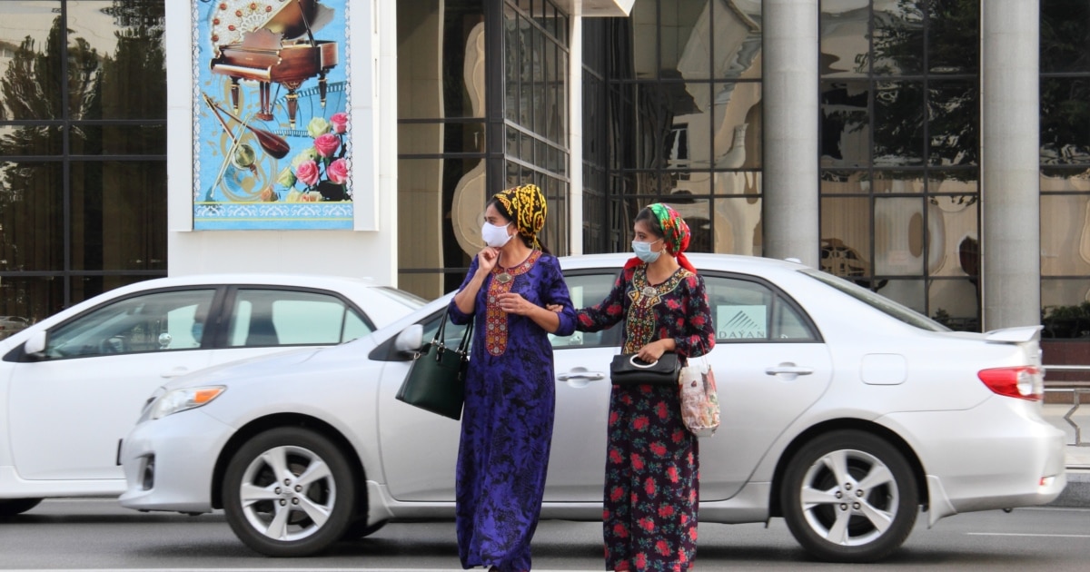 Orqa tomondan soqolsiz Orqa tomondan soqolsiz