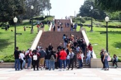 Kampus Universitas California, Los Angeles Jumat, 26 April 2019. (Foto: AP)