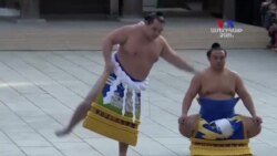 SHORT VIDEO: Յոկոզունաների կատարումը Տոկիոյում