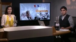 بي بي شیرینه – د ډیوه ریډیو په ټی وي خپرونه 