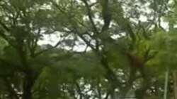 Amadokotela Aqhubekela Phambili Ekhalala Umsebenzi