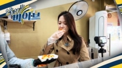 [오늘의 바이브] 떡집에 열광하다 '떡지 순례'
