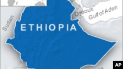 በባሌ ዞን ዲንሾ ወረዳ የጭነት አሽከርካሪ ግድያ ተጠርጣሪዎች ታሰሩ