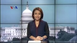 Beternak Alpaca di Amerika Serikat