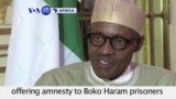 VOA60 Africa - Nigerian Government might consider amnesty to Boko Haram prisoners if they return Chibok girls - September 16, 2015