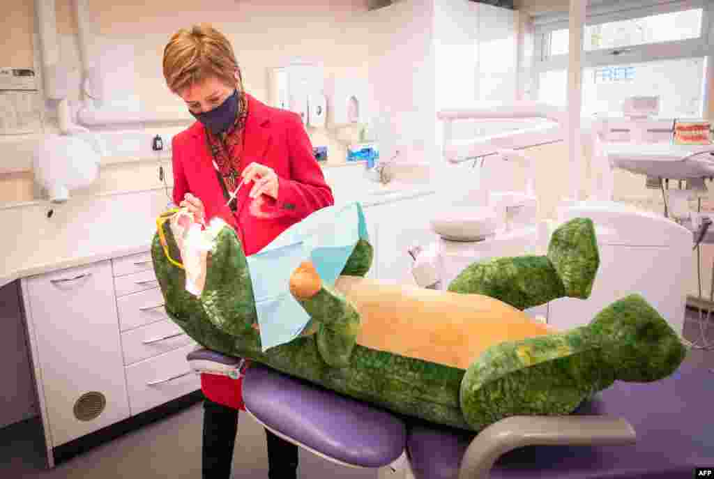 Scotland&#39;s First Minister and leader of the Scottish National Party, Nicola Sturgeon, checks the teeth of &quot;Dentosaurus&quot; during a visit to the Thornliebank Dental Care centre in Glasgow, as she campaigns ahead of the 2021 Scottish Parliamentary Election. 