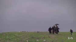 Thousands Flee Mosul Daily as IS Battle Intensifies