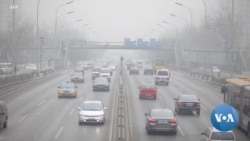 Car Pollution Is Driving Childhood Asthma Around the World