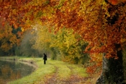 People fish in the canal with autumn leaves all around in Thun-Leveque, France, November 17, 2019. (Reuters/Pascal Rossigno)