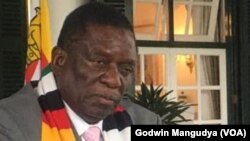  President Emmerson Mnangagwa