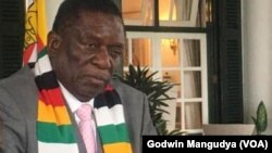  President Emmerson Mnangagwa