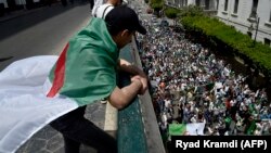 Manifestations à Alger le 7 juin 2019.