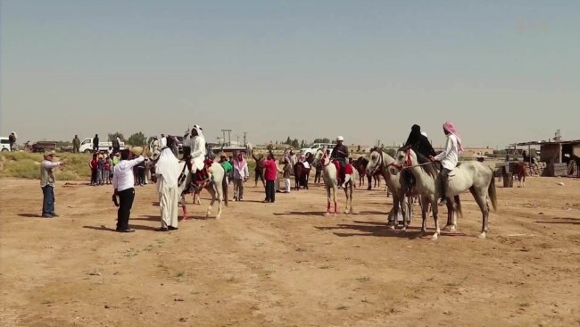 Horse Racing Festival Returns to Raqqa After Islamic State