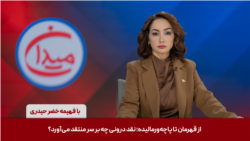 میدان - از قهرمان تا پاچه‌ورمالیده؛ نقد درونی چه بر سر منتقد می‌آورد؟