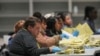 Election workers process mail-in ballots for the general election at the Philadelphia Election Warehouse, Nov. 5, 2024, in Philadelphia. 