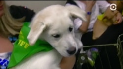 Настоящее Время. Америка – 25 сентября 2017