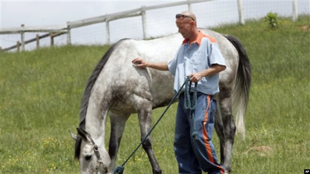 Yayasan Thoroughbred Retirement Foundation, yang berupaya menyelamatkan kuda-kuda pacuan yang sudah dipensiun dari kemungkinan penganiayaan atau dikirim ke rumah jagal, bekerjasama dengan pihak penjara untuk mempekerjakan para napi mengurus kuda-kuda itu 