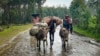 FILE - Villagers leave their homes near the village of Chenna Teklehaymanot, in the Amhara region of Ethiopia, on Sept. 9, 2021. The U.N. has said 274 million people in Ethiopia, Afghanistan, Yemen and other nations will need emergency humanitarian aid next year.