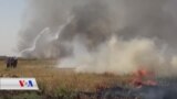 گڕتێبەردانی دەغڵ و دانی جوتیاران بەردەوامە
