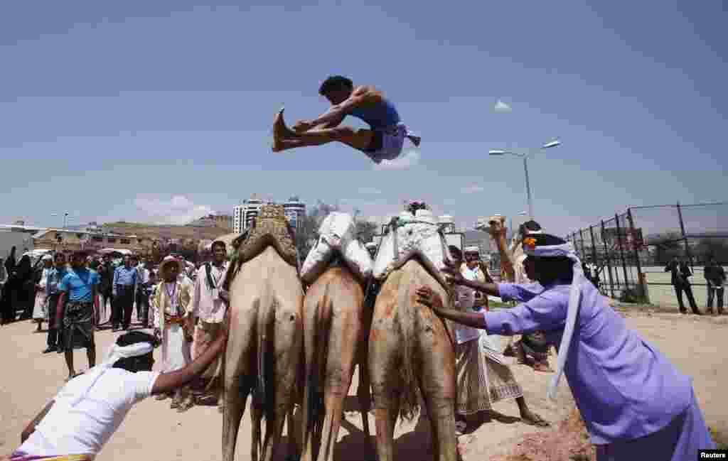 A Bedouin man jumps over camels during the Sana&#39;a Summer Festival in Sana&#39;a, Yemen. The two-week festival aims to stimulate domestic tourism and reassure local and international tourists about Yemen&#39;s stability.