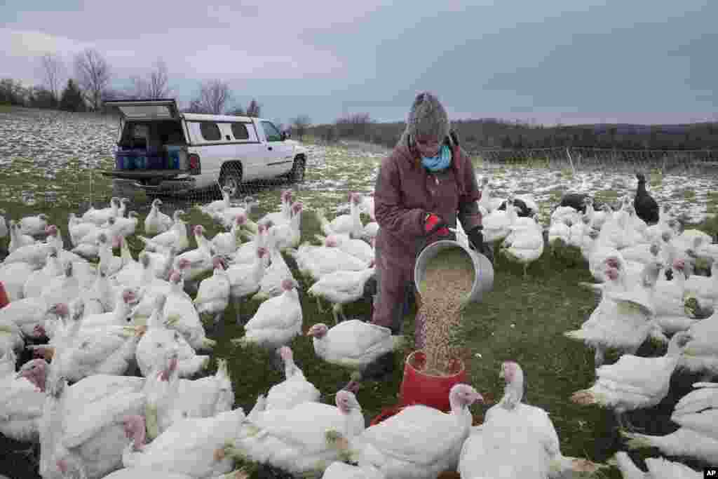 Nyu-York shtati&nbsp;