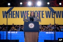 Demokratska kandidatkinja za predsednicu, potpredsednica Kamala Haris, govori na skupu u Berns Parku u En Arboru, Mičigen, 28. oktobar, 2024.(Foto: AP/Paul Sancya)