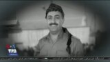 اخبار شامگاهی