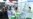 Companion Robots Featured at Shanghai Electronics Show