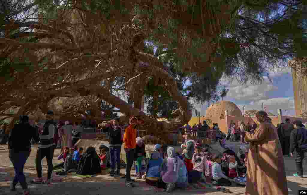 This tree where the Holy Family is believed to have rested in its shade is located between a mosque and a Muslim cemetery. Now families from any religion can hang out under its shade for picnics and good family times to remember. (Hamada Elrasam/VOA)