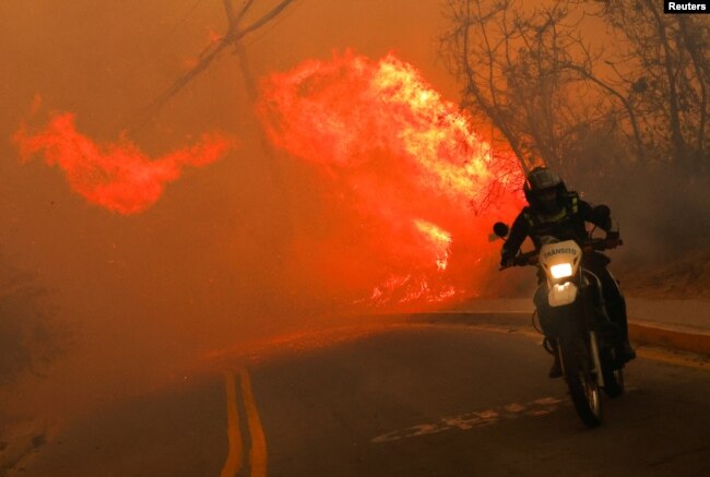 Se reaviva foco de incendio forestal el noreste de Quito, ciudad declarada en emergencia 1 bc0bde57 0028 4fe0 b3b8 bbab74fa24eb w650 n st