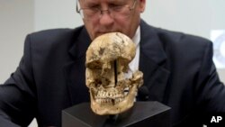 Investigadores del Museo Smithsonian dijeron haber hallado huesos de una niña con claras huellas de antropofagia.