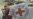 Humanitarian aid workers face 'increasingly difficult' conditions