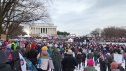 People's March atau Pawai Rakyat di Lincoln Memorial hari Sabtu, 18 Januari 2025. (foto: VOA Indonesia)