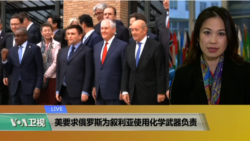 VOA连线(张蓉湘)：美要求俄罗斯为叙利亚使用化学武器负责