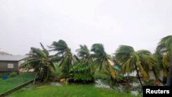 Palmeras dañadas después de que el huracán Lisa azotara el suburbio occidental de Landivar, Ciudad de Belice , Belice, 2 de noviembre de 2022. REUTERS/José Sánchez/Foto de archivo