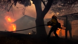 Petugas pemadam kebakaran berupaya memadamkan api yang melalap sebuah rumah di Camarillo, California, pada 6 November 2024. (Foto: AFP/Etienne Laurent)