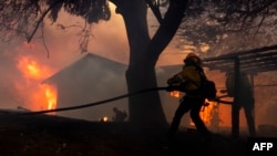 Petugas pemadam kebakaran berupaya memadamkan api yang melalap sebuah rumah di Camarillo, California, pada 6 November 2024. (Foto: AFP/Etienne Laurent)