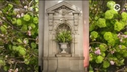 Настоящее Время. Америка – 26 декабря 2017